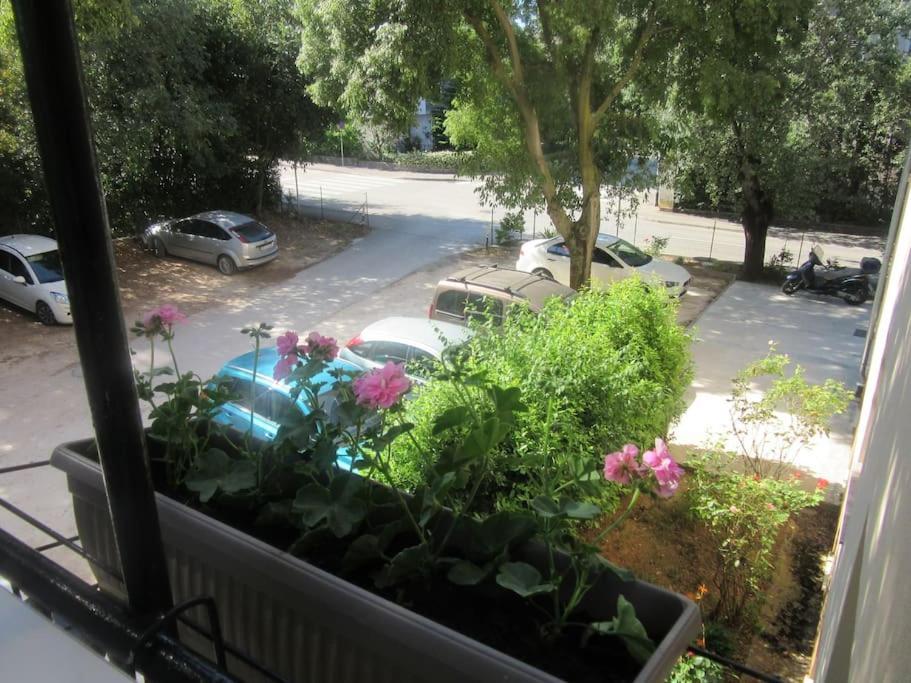 Appartement Ira - Prelijep Stan + Besplatni Parking *